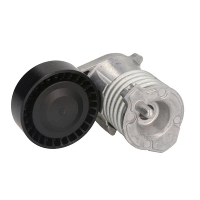 Imagem de INA 534 0029 10 Tensor, correia trapezoidal estriada VOLVO: V50