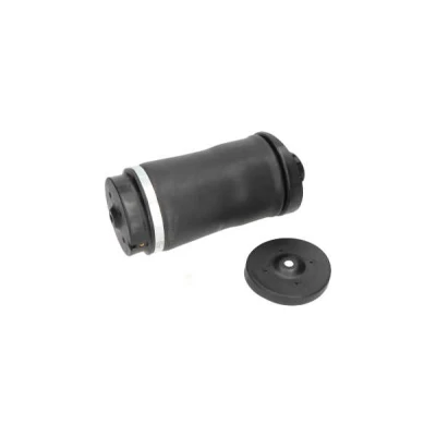 Imagem de KAVO PARTS SAS 10018 Mola pneumática, chassis Eixo traseiro MERCEDES BENZ: Classe R