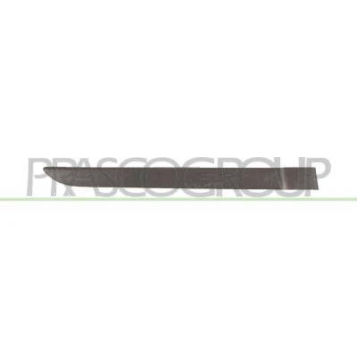 Imagem de PRASCO RN4201453 Friso Porta RENAULT: MEGANE 2