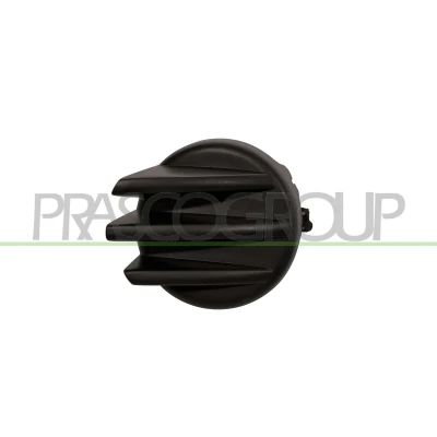 Imagem de PRASCO FT9221250 Guarnição, farol de nevoeiro esquerda CITROËN: Jumpy II MPV, FIAT: Scudo Van
