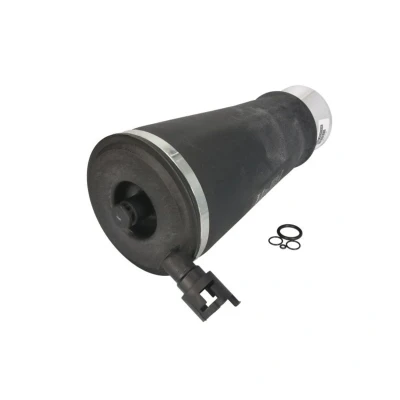 Imagem de Mola pneumática, suspensão ARNOTT EUROPE A 2220