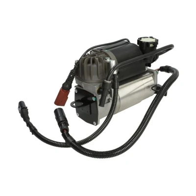 Imagem de Compressor pneumático para suspensão de rodas MAGNUM TECHNOLOGY KPA007MT