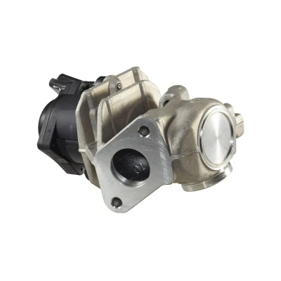 Imagem de HELLA 6NU 010 171 111 Válvula EGR elétrico com junta braçadeira, É necessário adaptar/actualizar unidade de comando/software