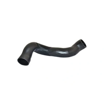 Imagem de BUGIAD 88814 Mangueira Para o Turbocompressor VOLVO: XC60 I, S60 II