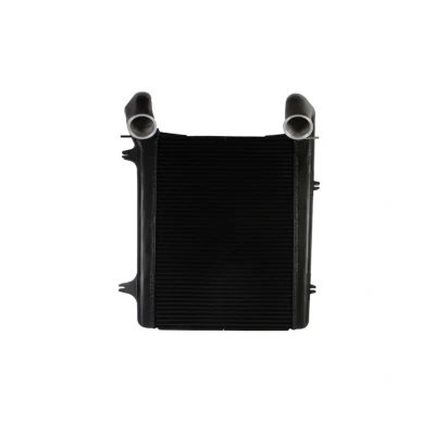 Imagem de Intercooler NISSENS 97059