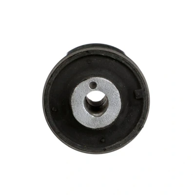 Imagem de DELPHI TD4223W Casquilho de Braço Suspensão MERCEDES BENZ: Classe S Sedan
