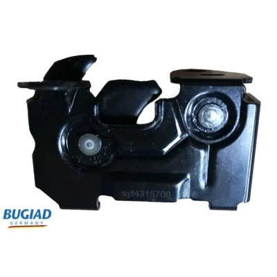 Imagem de BUGIAD 82608 Mangueira Para o Turbocompressor 63 AUDI: A4 B6 Avant, Sedan, A6 C5 Avant