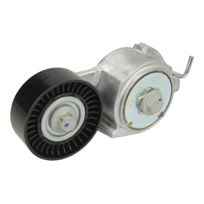 Imagem de INA 534 0069 10 Tensor, correia trapezoidal estriada FIAT: BRAVO 1