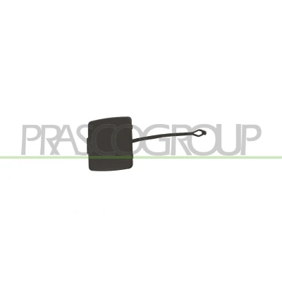 Imagem de PRASCO BM1201286 Tampa, gancho de reboque traseira BMW: 1 Hatchback