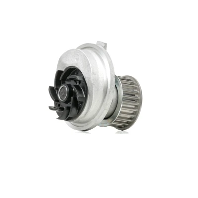 Imagem de INA 538 0131 10 Bomba de água 25 com tampão dilatação mecânico OPEL: Astra H Caravan, Hatchback, G CC, CHEVROLET: Captiva