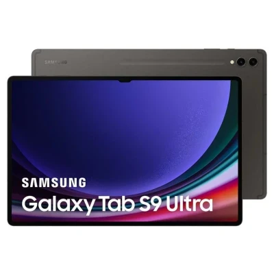 Imagem de Samsung Galaxy Tab S9 Ultra WiFi + 5G 256GB X916 Cinzento