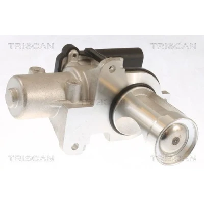Imagem de TRISCAN 8813 29101 Válvula EGR electrónico com juntas AUDI: A4 B6 Avant, Sedan, B7 VOLKSWAGEN: Passat B5 GP Variant