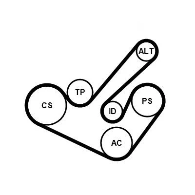 Imagem de CONTITECH 6PK1555K9 Jogo de correias trapezoidais estriadas
