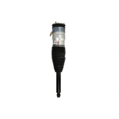 Imagem de Magnum Technology APQ002MT Elemento de suspensão pneumática Eixo traseiro, ambos os lados