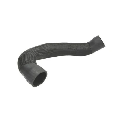 Imagem de THERMOTEC DCA023TT Mangueira Para o Turbocompressor