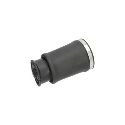 Imagem de KAVO PARTS SAS 10017 Mola pneumática, chassis Eixo traseiro esquerdo BMW: 5 Touring