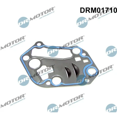 Imagem de DR.MOTOR AUTOMOTIVE DRM01710 Juntas AUDI: A4 B7 Sedan, Avant, B6 VOLKSWAGEN: Passat B5 GP Variant