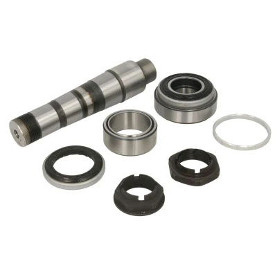 Imagem de Kit de reparação, pivô do munhão eixo C.E.I 230170