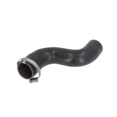 Imagem de THERMOTEC DCI037TT Mangueira Para o Turbocompressor LAND ROVER: Range Rover Sport