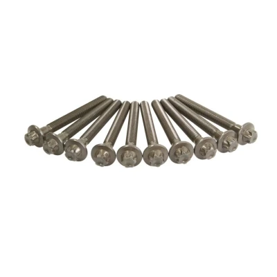 Imagem de REINZ 14 32212 01 Jogo de Parafusos da Cabeçote torx exterior MERCEDES BENZ: Classe A