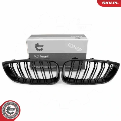 Imagem de ESEN SKV 66SKV135 Grelha de Radiador carbono BMW: 3 GT