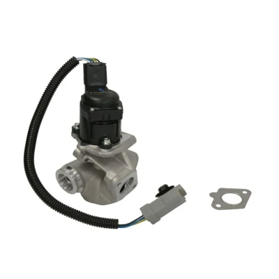 Imagem de WAHLER 710936D/1 Válvula EGR elétrico com junta FORD: Focus 2, 2 Kombi, C Max, VOLVO: V50, C30, S40 II