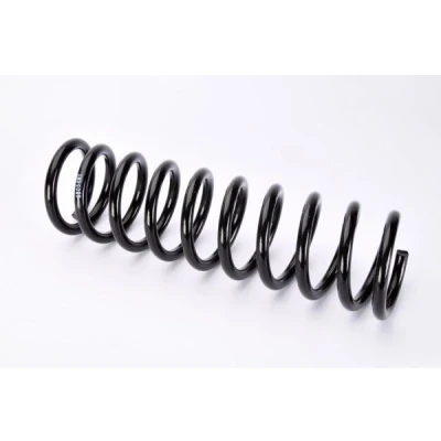 Imagem de Magnum Technology SB054MT Mola de suspensão Eixo traseiro helicoidal para veículos sem regulação nível