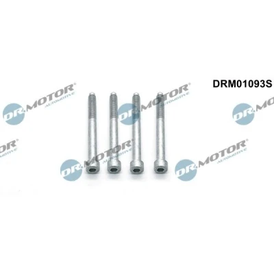 Imagem de DR.MOTOR AUTOMOTIVE DRM01093S Parafuso, suporte de injector PEUGEOT: Boxer Van, 508 I SW
