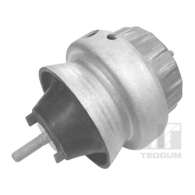 Imagem de Montagem do motor TEDGUM 00056451