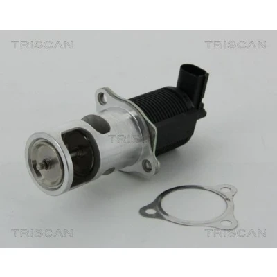 Imagem de TRISCAN 8813 25038 Válvula EGR electrónico com juntas RENAULT: CLIO 2 Kasten, MEGANE Kombi, 3, NISSAN: Almera Limousine