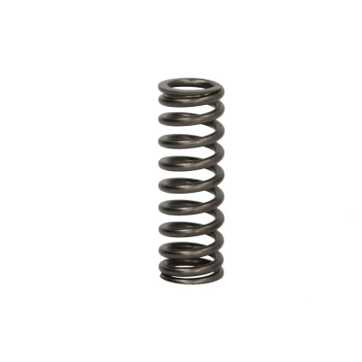 Imagem de Mola da válvula DT Spare Parts 2.10275