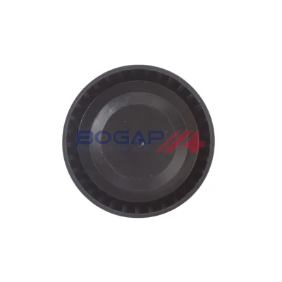 Imagem de BOGAP B1320103 Polia de Desvio BMW: X5