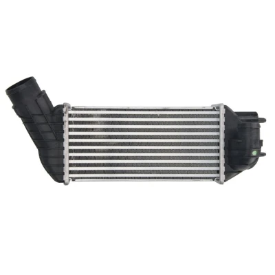 Imagem de THERMOTEC DAC019TT Intercooler PEUGEOT: Partner II Van, 308 I SW, CITROËN: C4 Grand Picasso