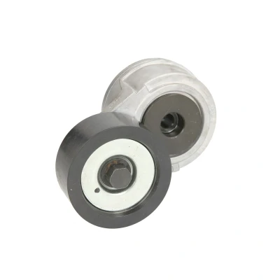 Imagem de SKF VKMCV 51021 Polia Tensora