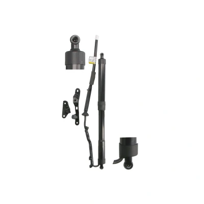 Imagem de Motor elétrico, porta traseira MAGNUM TECHNOLOGY MGS8093MT