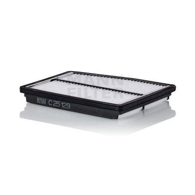 Imagem de MANN FILTER C 25 129 Filtro de ar 29 196 245 Cartucho filtrante