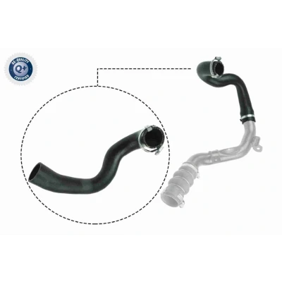 Imagem de VAICO V25 1053 Mangueira Para o Turbocompressor Borracha com entretela Q+, original equipment manufacturer quality FORD: Transit Connect Mk1 Van