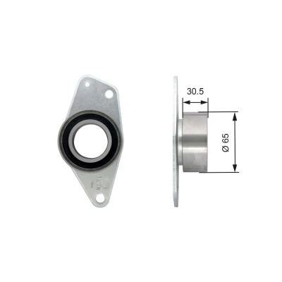 Imagem de GATES FleetRunner Micro V Stretch Fit T42091 Polia de desvio/de guia, correia dentada RENAULT: Kangoo I Express, MEGANE 1, OPEL: Movano A Van