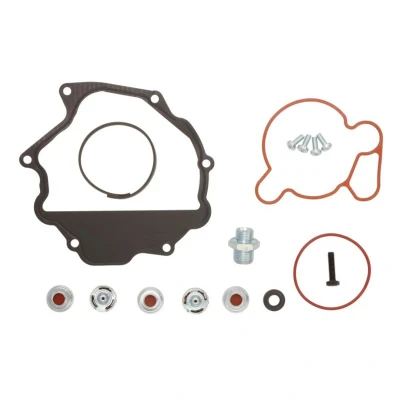 Imagem de Kit de reparação, bomba vácuo MEAT &amp; DORIA 91208