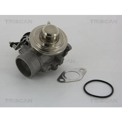 Imagem de TRISCAN 8813 29001 Válvula EGR pneumático com juntas VOLKSWAGEN: Golf 4, Polo IV Hatchback, III SEAT: Ibiza 3, Leon I Hatchback