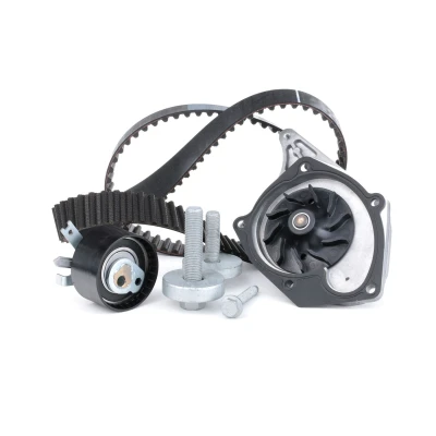 Imagem de INA 530 0197 31 bomba de Água + Kit Correia Distribuição com água RENAULT: MEGANE 3 Coupe, LAGUNA Grandtour, Modus / Grand