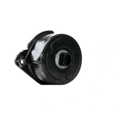 Imagem de FEBI BILSTEIN 30117 Tensor da Correia BMW: 5 Sedan, 3 Touring