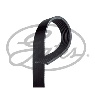Imagem de GATES Micro V 7PK1318 Correia trapezoidal estriada 1318 7 Poliéster, EPDM (borracha de etileno propileno dieno) HONDA: CIVIC 8 Hatchback