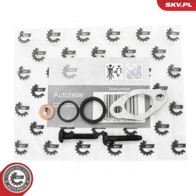 Imagem de ESEN SKV 53SKV188 Suporte, válvula injectora VOLVO: V70 2