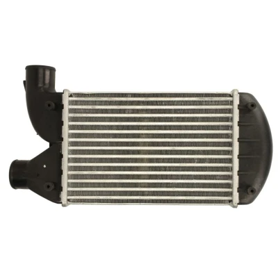 Imagem de Arrefecedor de ar admissão THERMOTEC DAF006TT