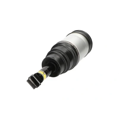 Imagem de KAVO PARTS SAS 10020 Elemento de suspensão pneumática Eixo traseiro LAND ROVER: Range Rover Sport