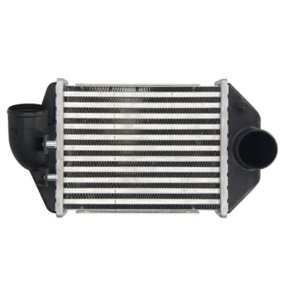 Imagem de THERMOTEC DAA028TT Intercooler AUDI: A4 B5 Avant, A6 C5 Sedan