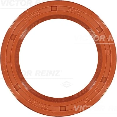 Imagem de REINZ 81 21087 20 Retentor da Árvore de Cames