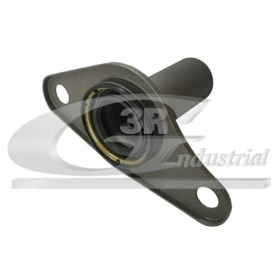 Imagem de 3RG 24631 Casquilho de guia, embraiagem Eixo dianteiro RENAULT: Kangoo I Express, LAGUNA 1