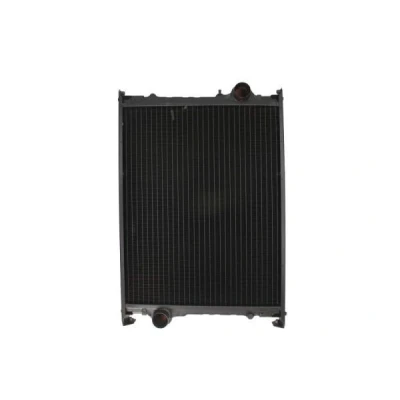 Imagem de Radiador, arrefecimento do motor THERMOTEC D7AG035TT